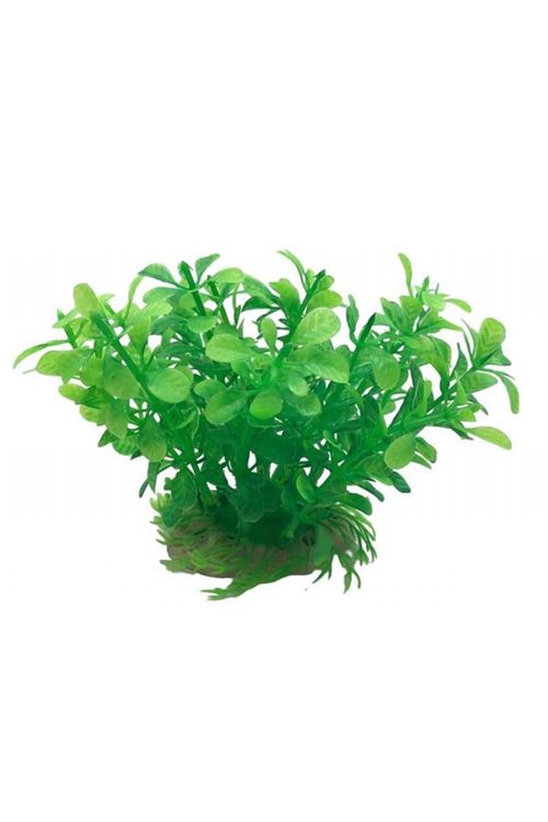 Plastik Bitki 6 Lı