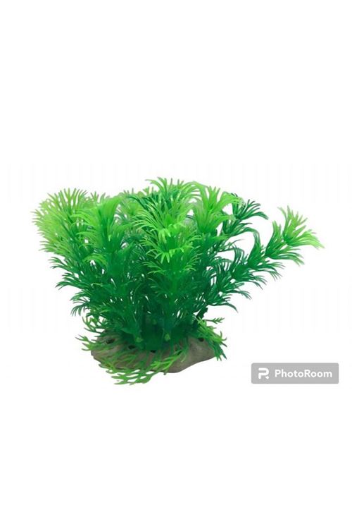 Plastik Bitki 6 Lı