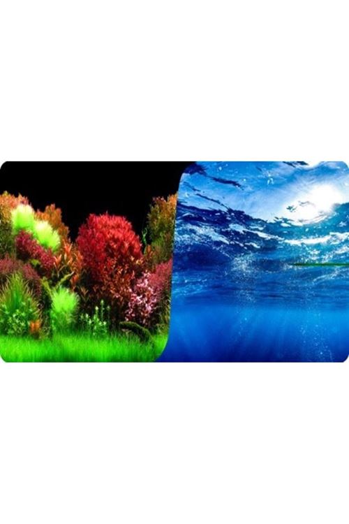Plastik Poster Okyanus Bitki 60Cm-15Mt