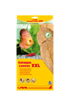 sera catappa yaprağı XXL 32  cm (10 adet)