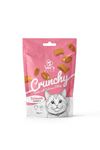 Vet's Plus Crunchy İçi Dolgulu Somonlu ve Catnipli Kedi Ödül Bisküvisi 60gr