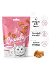 Vet's Plus Crunchy İçi Dolgulu Somonlu ve Catnipli Kedi Ödül Bisküvisi 60gr