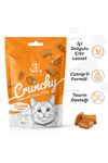 Vet's Plus Crunchy İçi Dolgulu Tavuklu ve Catnipli Kedi Ödül Bisküvisi 60gr