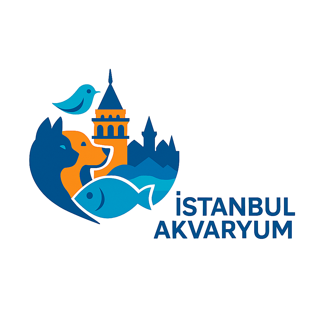 İstanbul Akv Evcil Hayvan Ürünleri